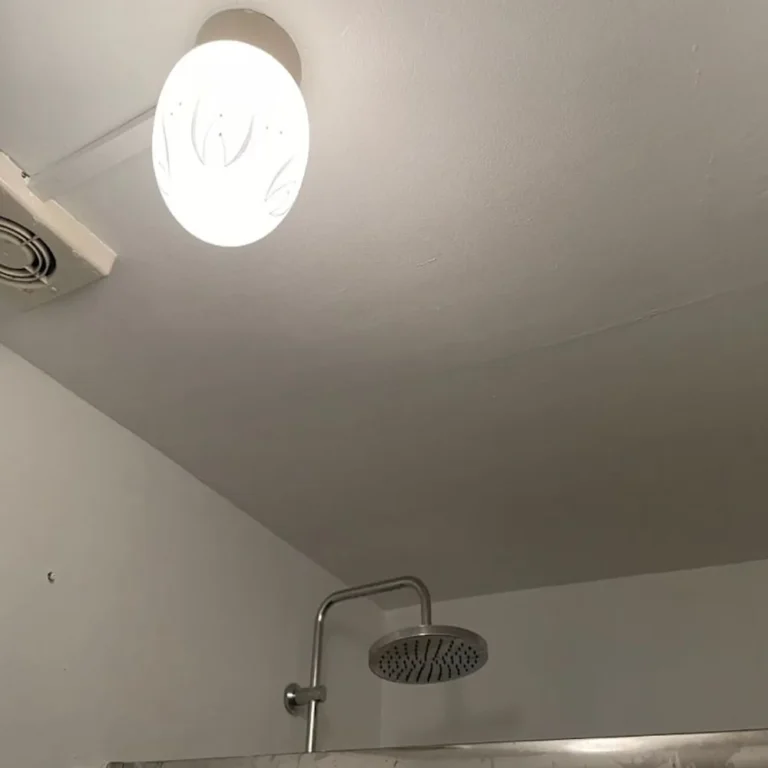 schimmelverwijdering